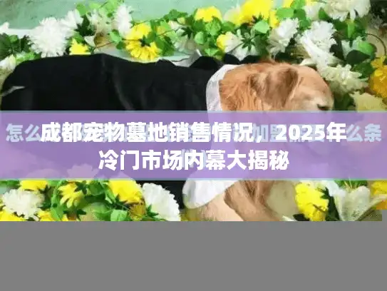 成都宠物墓地销售情况，2025年冷门市场内幕大揭秘