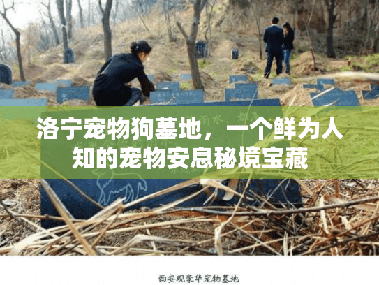 洛宁宠物狗墓地，一个鲜为人知的宠物安息秘境宝藏
