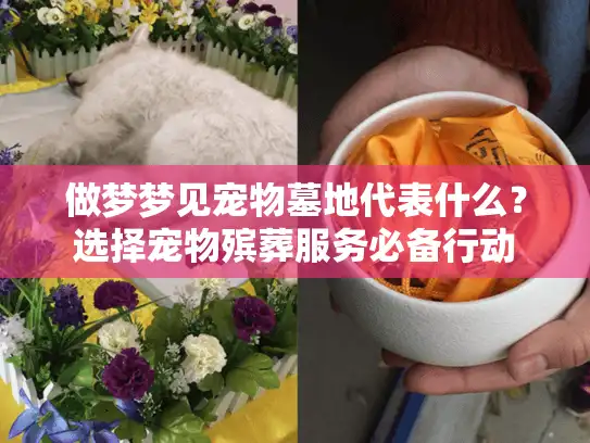 做梦梦见宠物墓地代表什么?选择宠物殡葬服务必备行动 做梦梦见宠物墓地代表什么?选择宠物殡葬服务必备行动