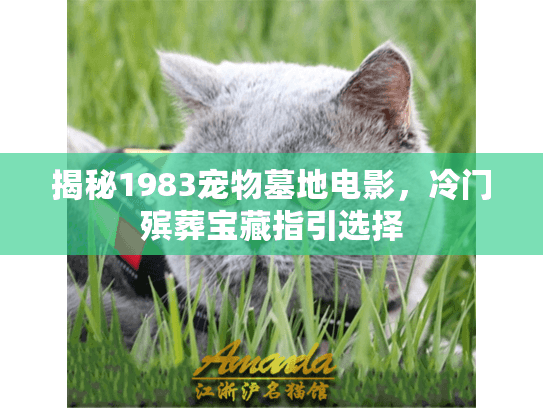 揭秘1983宠物墓地电影，冷门殡葬宝藏指引选择