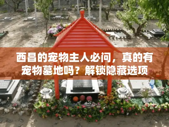 西昌的宠物主人必问,真的有宠物墓地吗?解锁隐藏选项 西昌的宠物主人必问,真的有宠物墓地吗?解锁隐藏选项