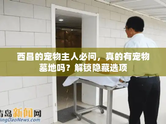 西昌的宠物主人必问,真的有宠物墓地吗?解锁隐藏选项 西昌的宠物主人必问,真的有宠物墓地吗?解锁隐藏选项