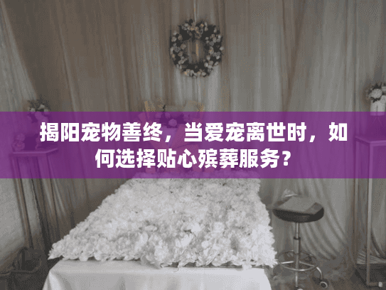 揭阳宠物善终，当爱宠离世时，如何选择贴心殡葬服务？