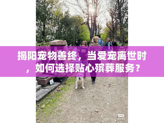 揭阳宠物善终，当爱宠离世时，如何选择贴心殡葬服务？
