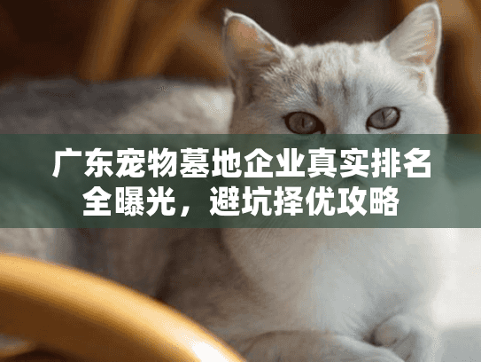 广东宠物墓地企业真实排名全曝光，避坑择优攻略