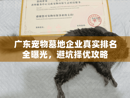 广东宠物墓地企业真实排名全曝光，避坑择优攻略