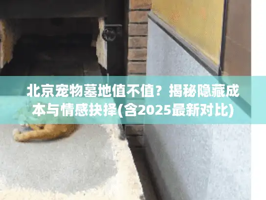 北京宠物墓地值不值？揭秘隐藏成本与情感抉择(含2025最新对比)