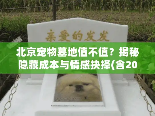 北京宠物墓地值不值？揭秘隐藏成本与情感抉择(含2025最新对比)