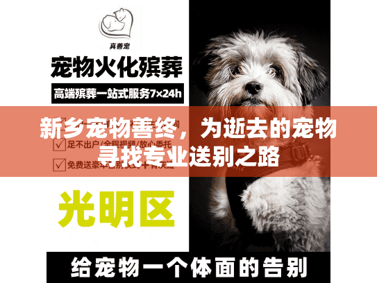 新乡宠物善终，为逝去的宠物寻找专业送别之路