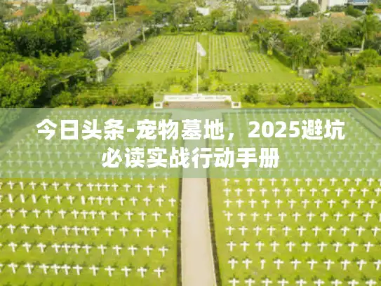 今日头条-宠物墓地，2025避坑必读实战行动手册