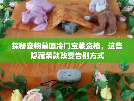 探秘宠物墓园冷门宝藏资格，这些隐藏条款改变告别方式