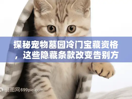 探秘宠物墓园冷门宝藏资格，这些隐藏条款改变告别方式