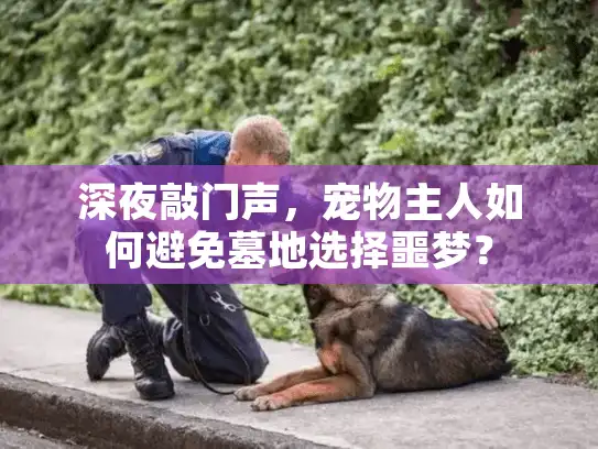深夜敲门声,宠物主人如何避免墓地选择噩梦? 深夜敲门声,宠物主人如何避免墓地选择噩梦?