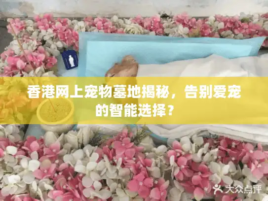 香港网上宠物墓地揭秘,告别爱宠的智能选择? 香港网上宠物墓地揭秘,告别爱宠的智能选择?