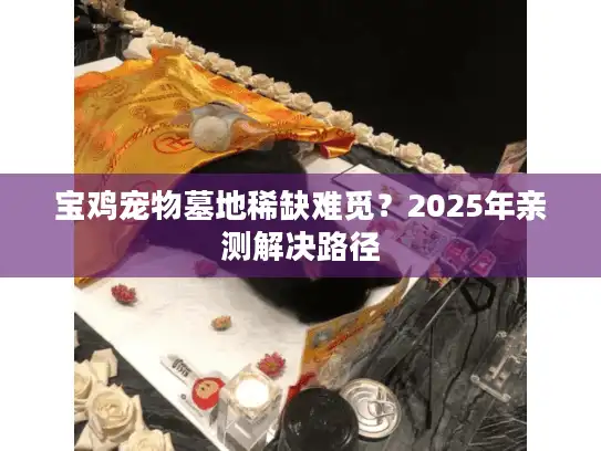 宝鸡宠物墓地稀缺难觅?2025年亲测解决路径 宝鸡宠物墓地稀缺难觅?2025年亲测解决路径