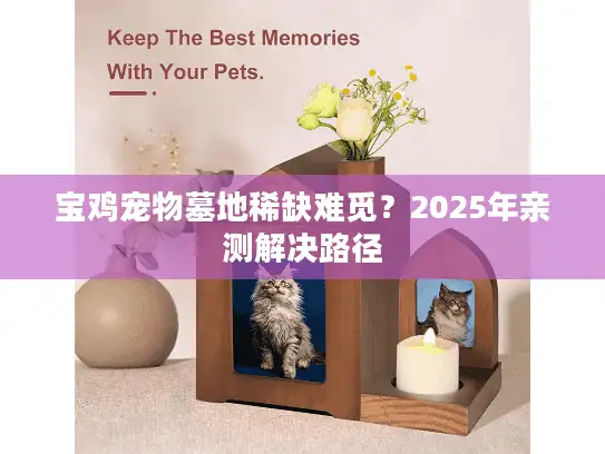 宝鸡宠物墓地稀缺难觅?2025年亲测解决路径 宝鸡宠物墓地稀缺难觅?2025年亲测解决路径