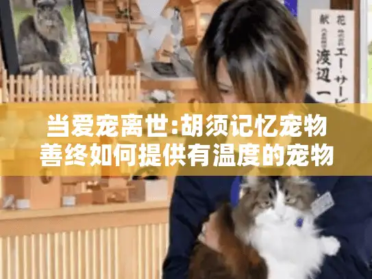 当爱宠离世:胡须记忆宠物善终如何提供有温度的宠物殡葬服务?