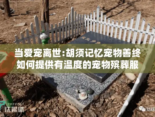 当爱宠离世:胡须记忆宠物善终如何提供有温度的宠物殡葬服务?