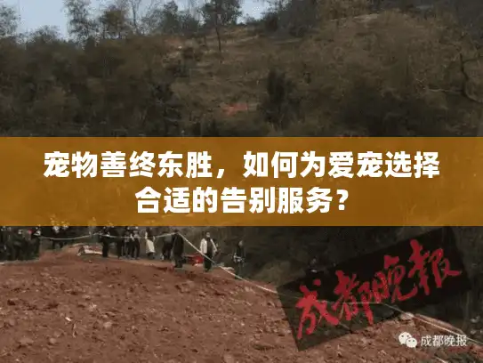 宠物善终东胜，如何为爱宠选择合适的告别服务？