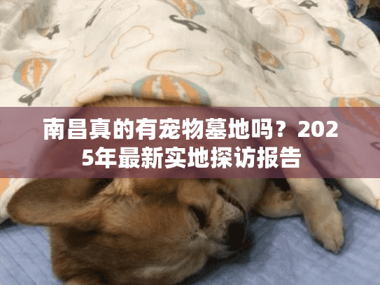 南昌真的有宠物墓地吗?2025年最新实地探访报告 南昌真的有宠物墓地吗?2025年最新实地探访报告