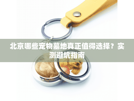 北京哪些宠物墓地真正值得选择？实测避坑指南