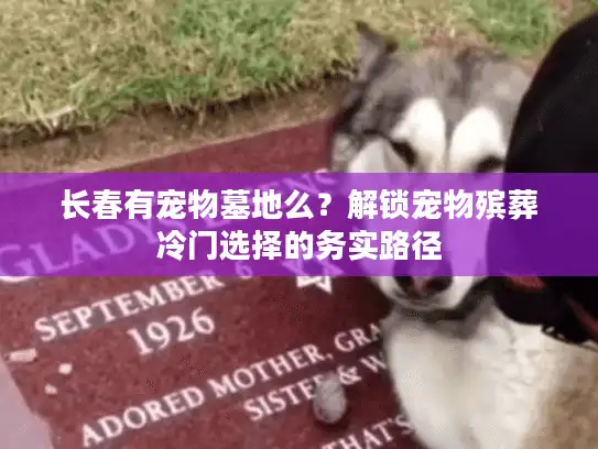 长春有宠物墓地么？解锁宠物殡葬冷门选择的务实路径