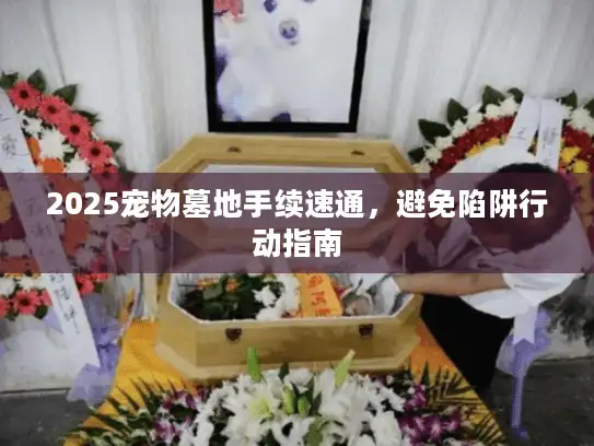 2025宠物墓地手续速通,避免陷阱行动指南 2025宠物墓地手续速通,避免陷阱行动指南