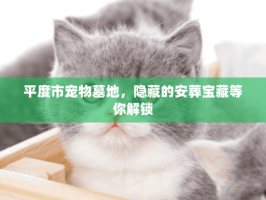 平度市宠物墓地，隐藏的安葬宝藏等你解锁