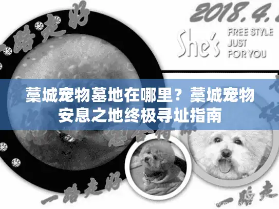 藁城宠物墓地在哪里？藁城宠物安息之地终极寻址指南