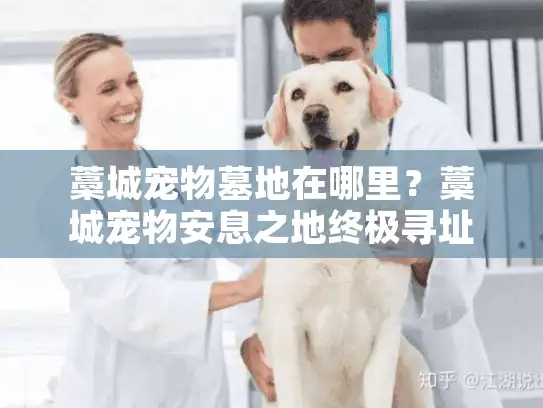 藁城宠物墓地在哪里？藁城宠物安息之地终极寻址指南