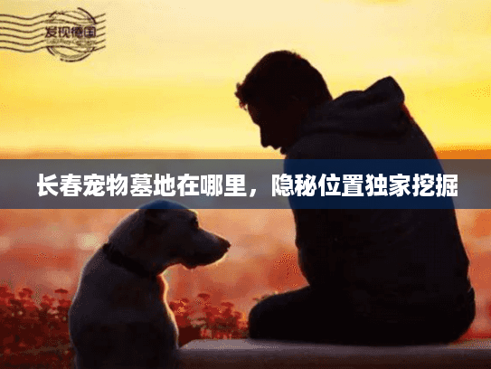 长春宠物墓地在哪里，隐秘位置独家挖掘