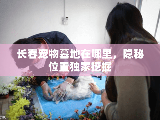 长春宠物墓地在哪里，隐秘位置独家挖掘