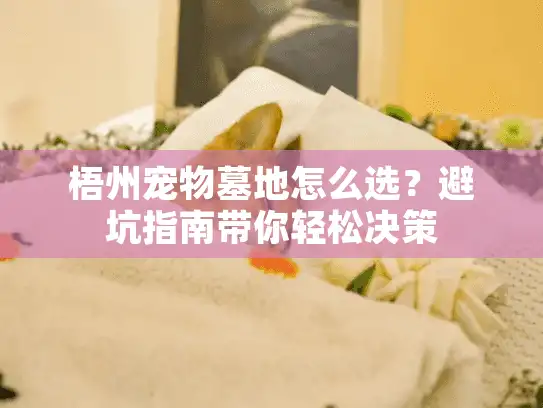 梧州宠物墓地怎么选？避坑指南带你轻松决策