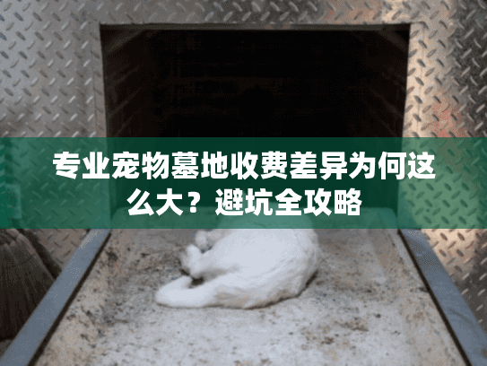 专业宠物墓地收费差异为何这么大？避坑全攻略