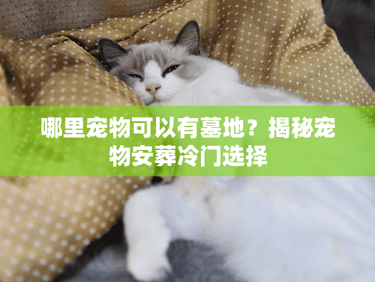 哪里宠物可以有墓地？揭秘宠物安葬冷门选择