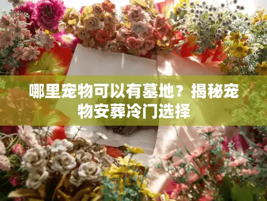 哪里宠物可以有墓地？揭秘宠物安葬冷门选择