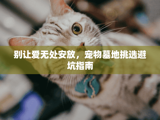 别让爱无处安放,宠物墓地挑选避坑指南 别让爱无处安放,宠物墓地挑选避坑指南