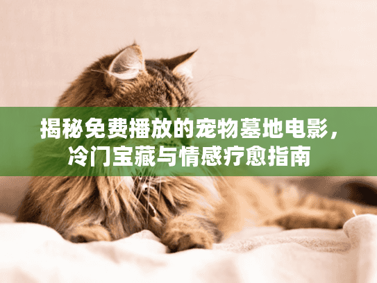 揭秘免费播放的宠物墓地电影,冷门宝藏与情感疗愈指南 揭秘免费播放的宠物墓地电影,冷门宝藏与情感疗愈指南