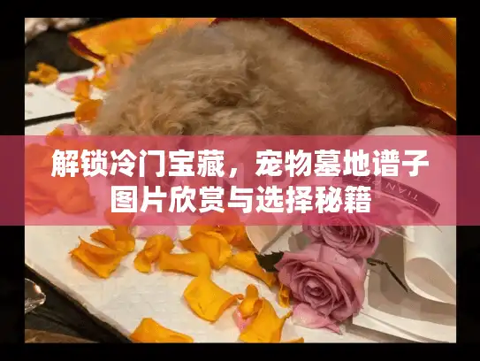 解锁冷门宝藏，宠物墓地谱子图片欣赏与选择秘籍
