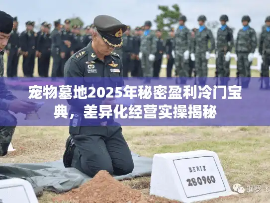 宠物墓地2025年秘密盈利冷门宝典，差异化经营实操揭秘