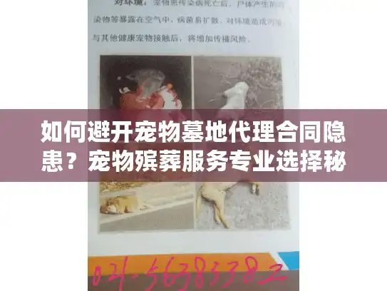 如何避开宠物墓地代理合同隐患？宠物殡葬服务专业选择秘诀