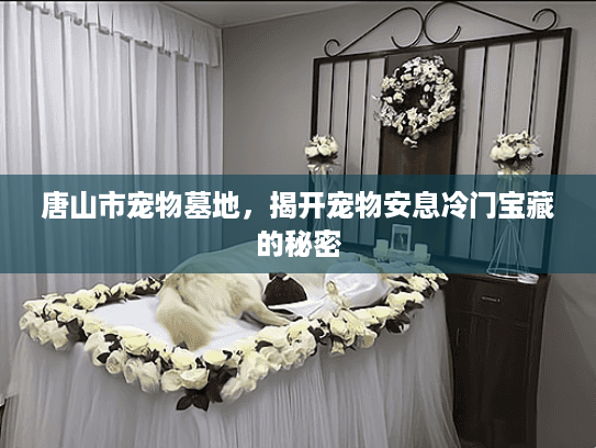 唐山市宠物墓地,揭开宠物安息冷门宝藏的秘密 唐山市宠物墓地,揭开宠物安息冷门宝藏的秘密