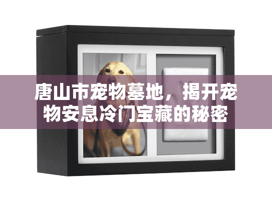 唐山市宠物墓地,揭开宠物安息冷门宝藏的秘密 唐山市宠物墓地,揭开宠物安息冷门宝藏的秘密