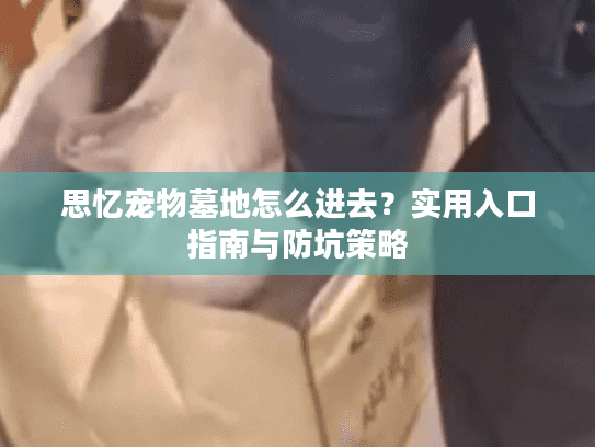思忆宠物墓地怎么进去?实用入口指南与防坑策略 思忆宠物墓地怎么进去?实用入口指南与防坑策略