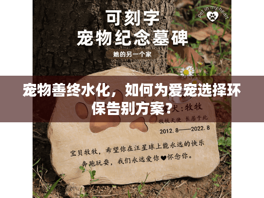 宠物善终水化，如何为爱宠选择环保告别方案？