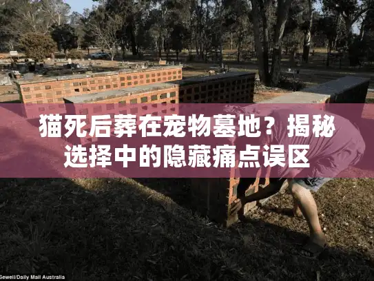 猫死后葬在宠物墓地？揭秘选择中的隐藏痛点误区