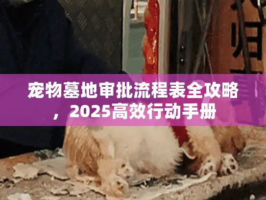 宠物墓地审批流程表全攻略，2025高效行动手册