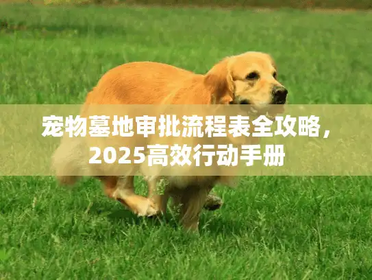 宠物墓地审批流程表全攻略，2025高效行动手册