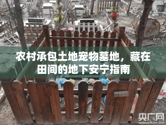 农村承包土地宠物墓地,藏在田间的地下安宁指南 农村承包土地宠物墓地,藏在田间的地下安宁指南