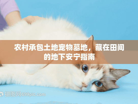 农村承包土地宠物墓地,藏在田间的地下安宁指南 农村承包土地宠物墓地,藏在田间的地下安宁指南